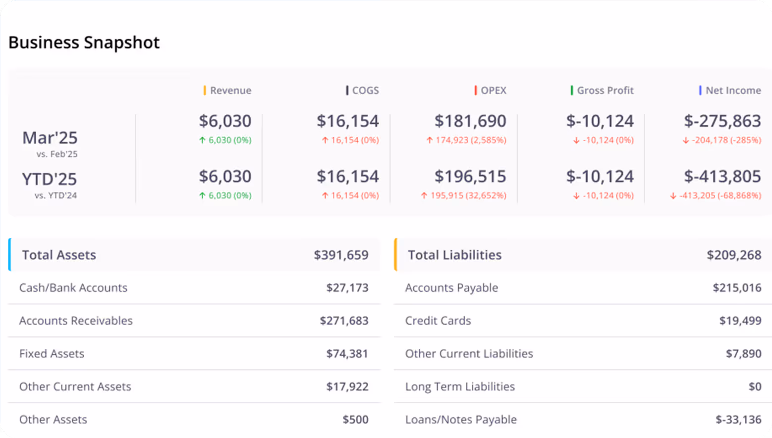 Business snapshot showing financial metrics for March 2025 and year-to-date 2025, including revenue, COGS, OPEX, gross profit, net income, total assets, and total liabilities with detailed values.