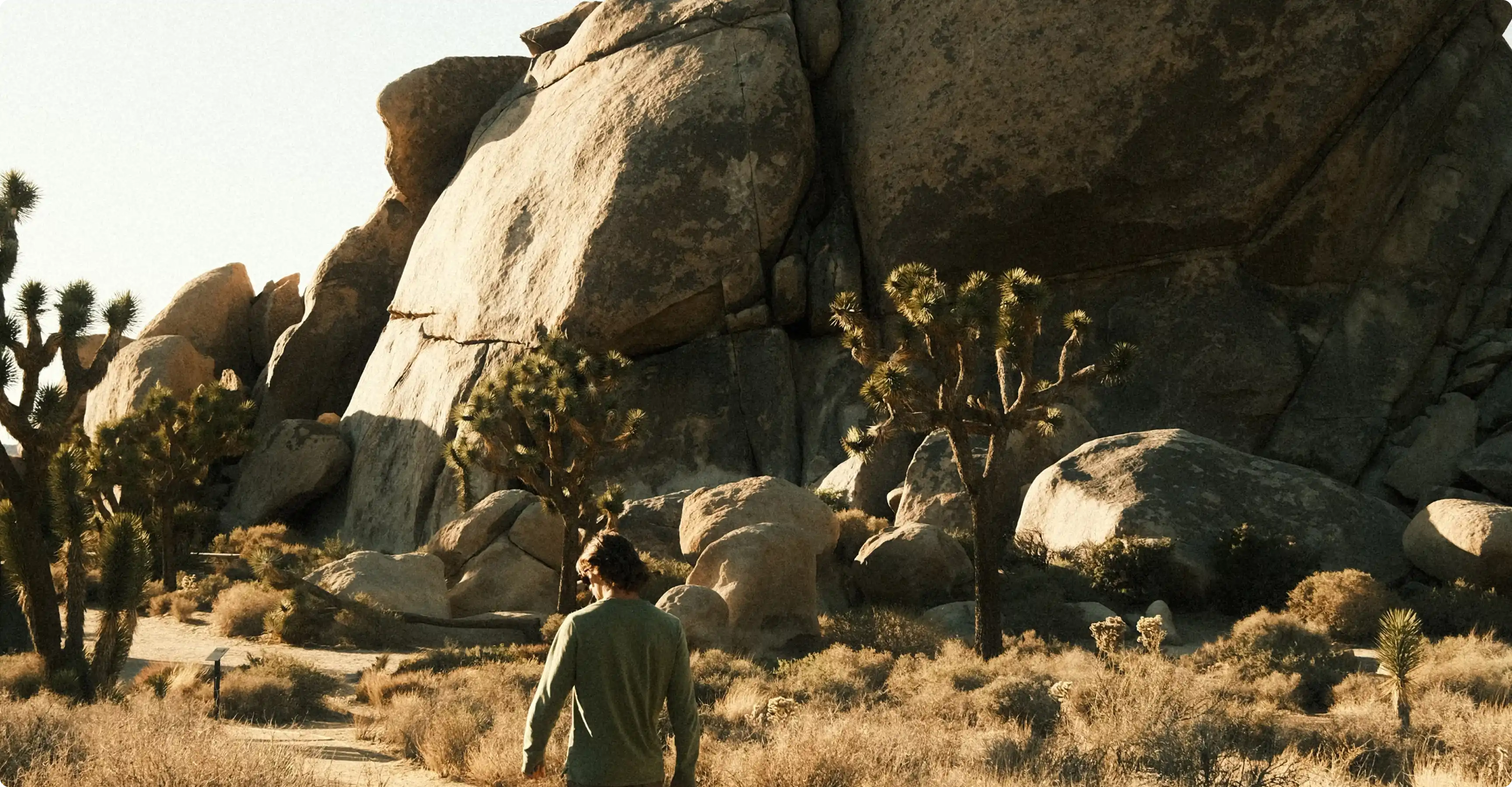 Understanding User Needs Through Effective Surveys