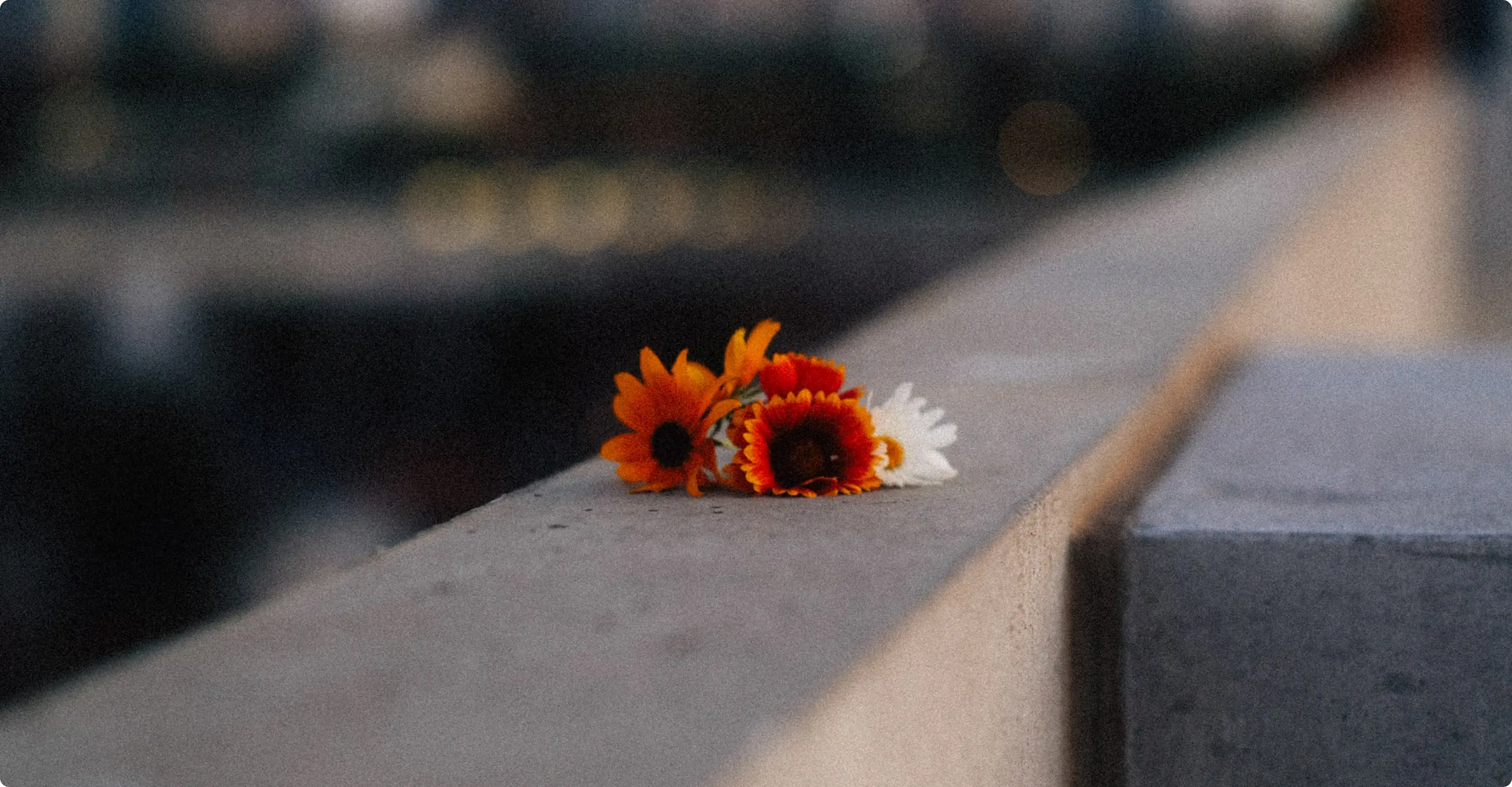 Why Mobile-First Design is Crucial for Modern Websites