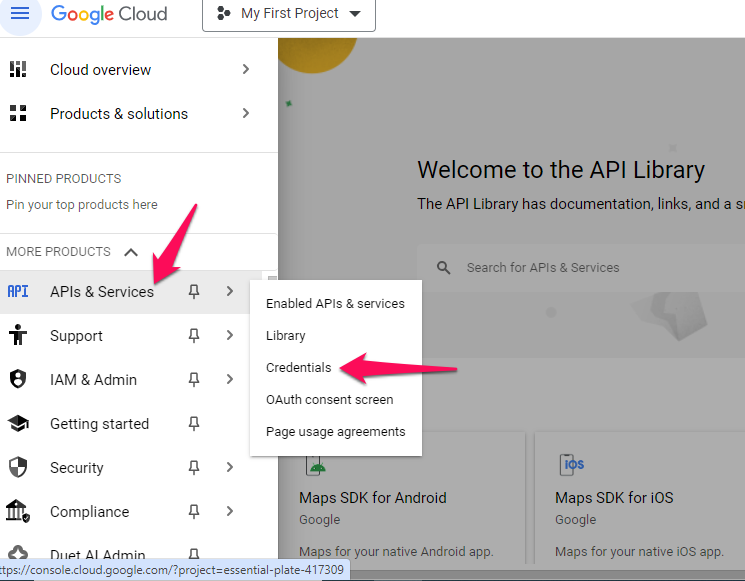 Click on âCreate Credentialsâ and select âAPI keyâ