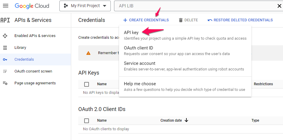 Click on âCreate Credentialsâ and select âAPI keyâ.