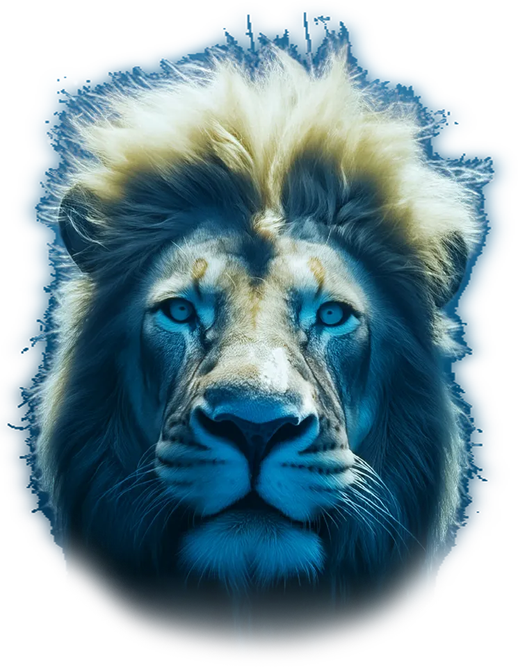 Detailní záběr lví tváře osvětlené modrým světlem na tmavě modrém pozadí.