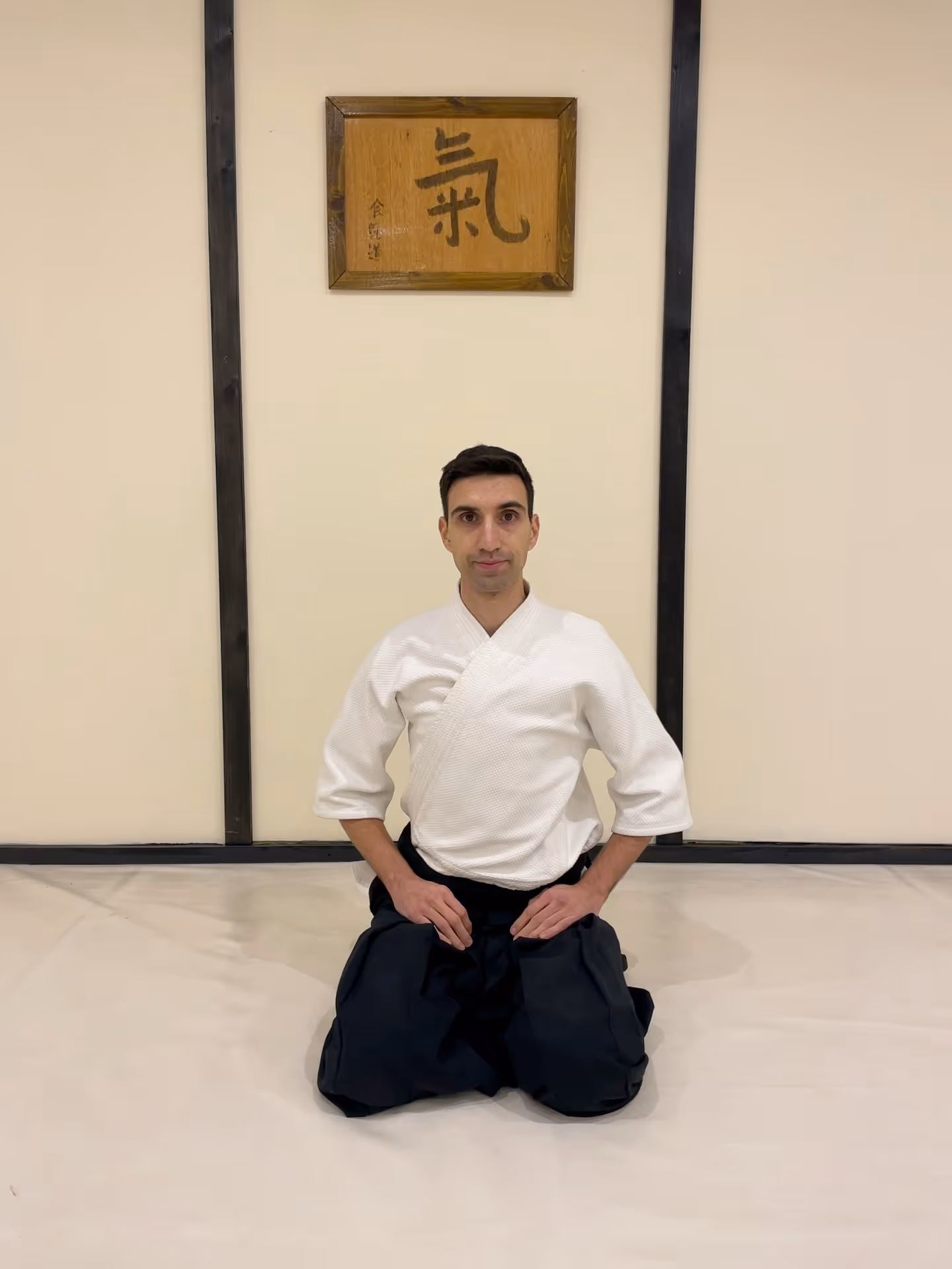 Cristian Filimon Sensei, Ki Aikido instructor