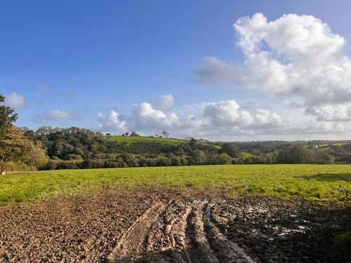 Dorset countryside - areas covered by Lifted Moving