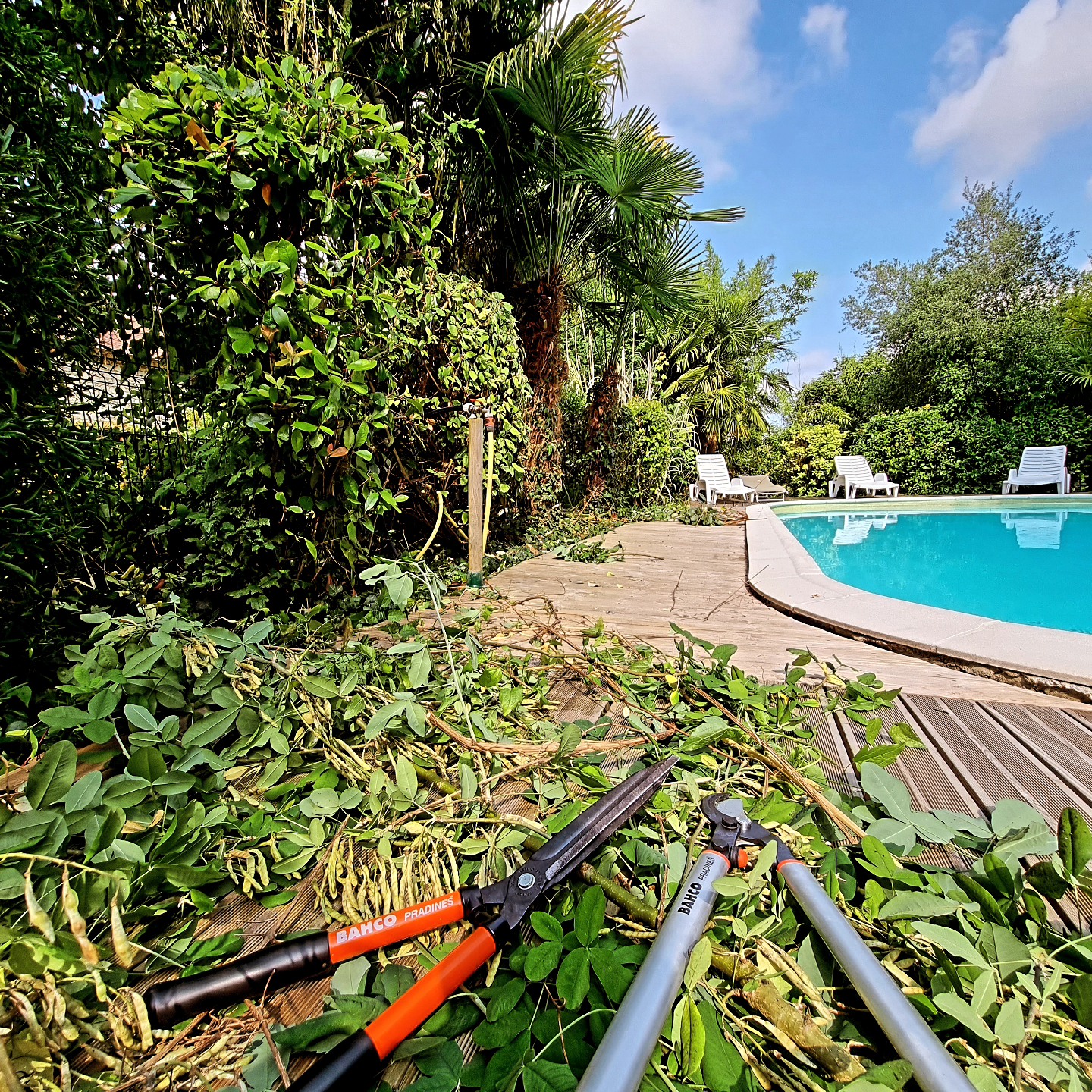 Entretien à La Roche Posay par Végétalia