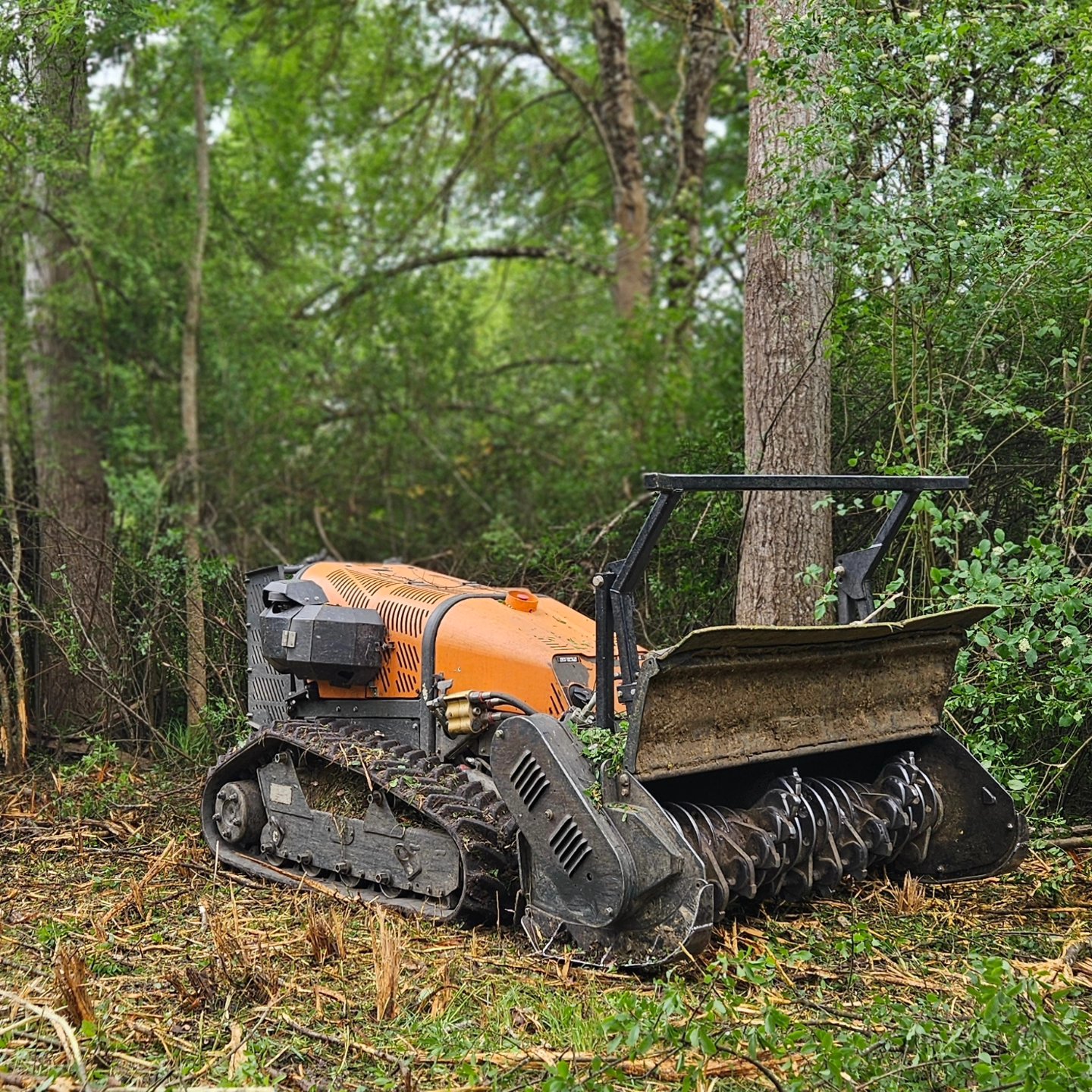 Défrichage à Availles en Châtellerault par Végétalia
