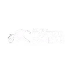 Le Trotteur Français