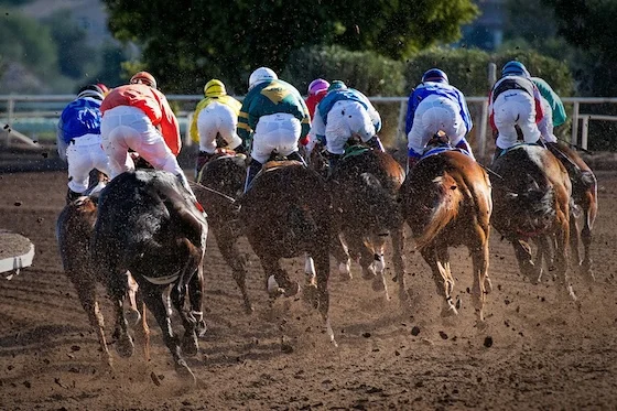 Horse racing jockeys competing down the home stretch