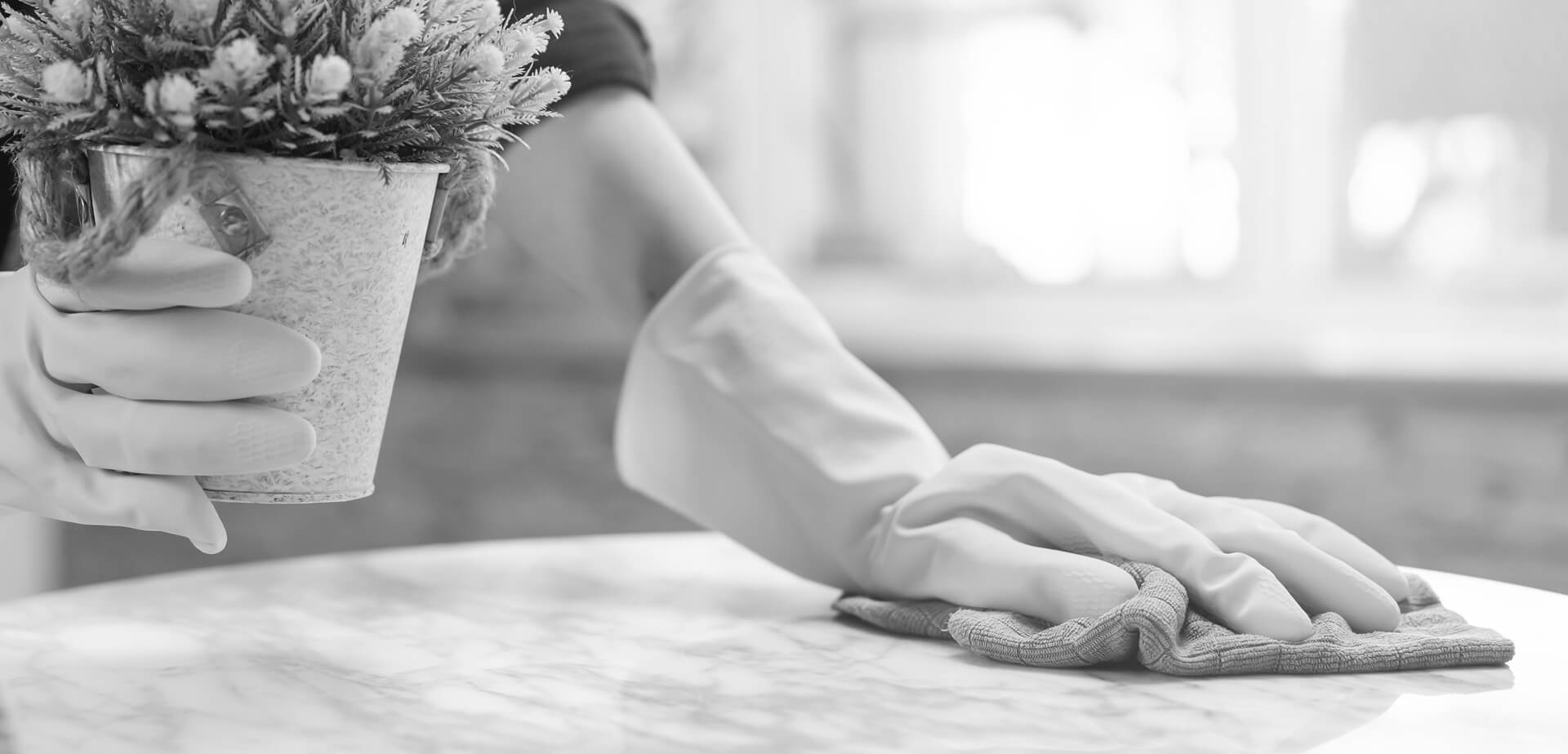 Cleaning Hygiene Hand Of Maid Waitress Woman Wearing Yellow Protective Gloves While Cleaning Take Out Flowerpot From Table And Using Blue Rag Wiping To Dust Housekeeping Clean Up Cleaner