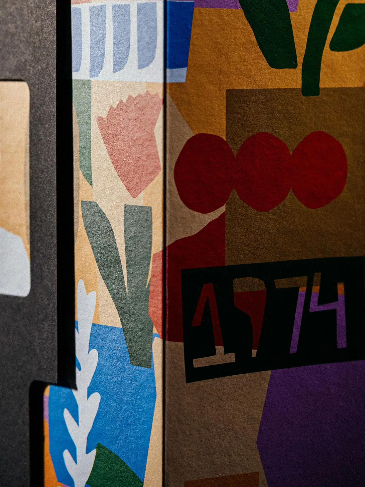 Barros Special Edition 1974