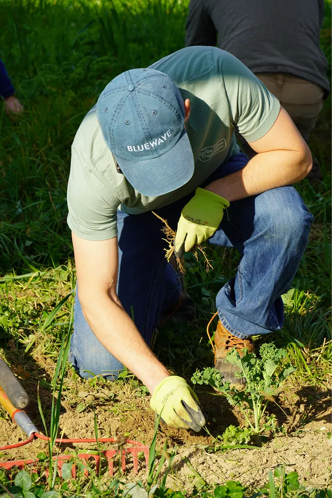 photo of a gardener