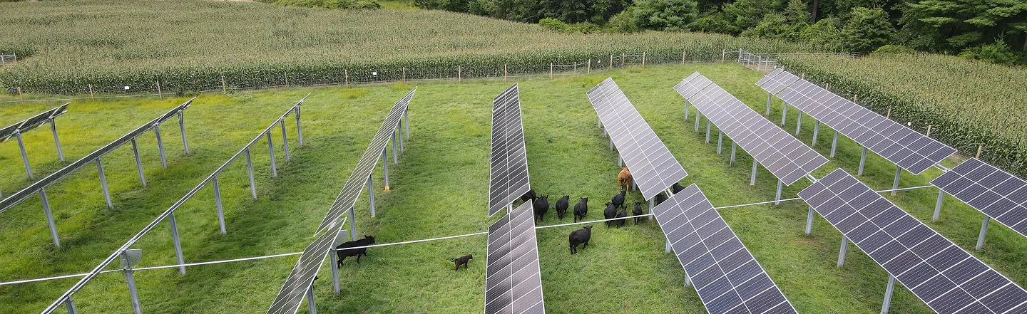 aerial view of solar panels