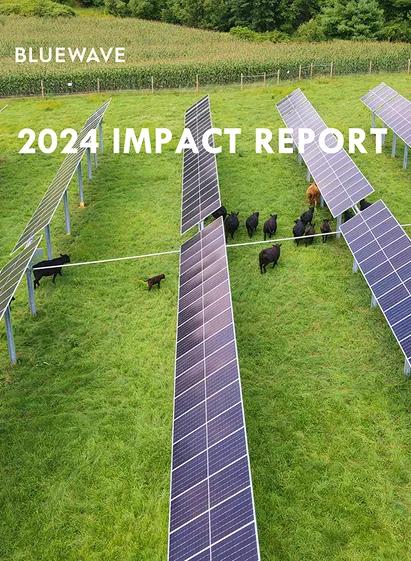 2024 impact report image