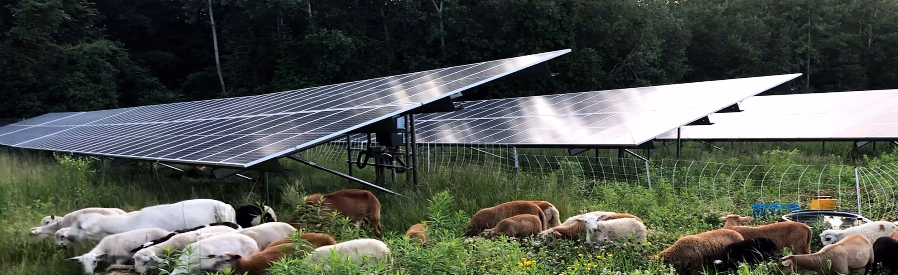 this image depicts a ground-mounted solar power system designed for large open areas