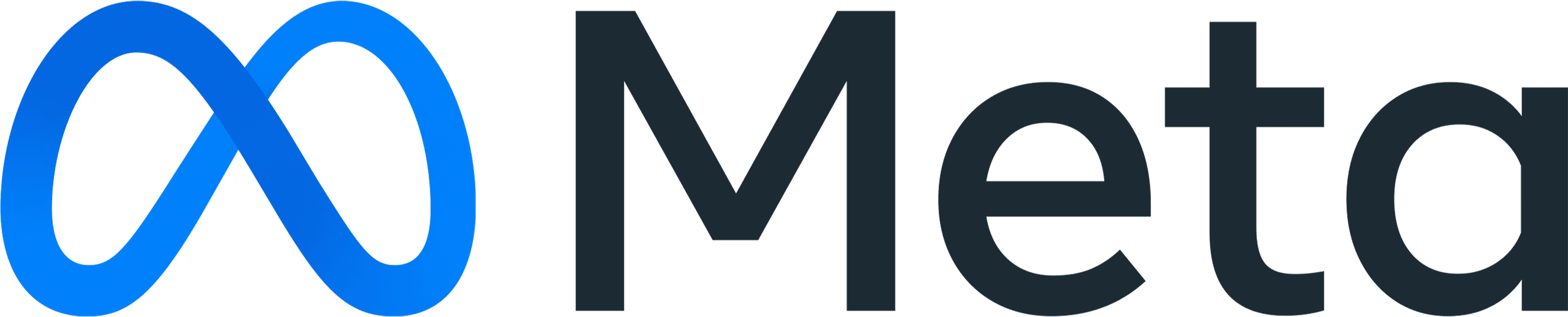Blue infinity loop symbol followed by the word Meta in dark letters.