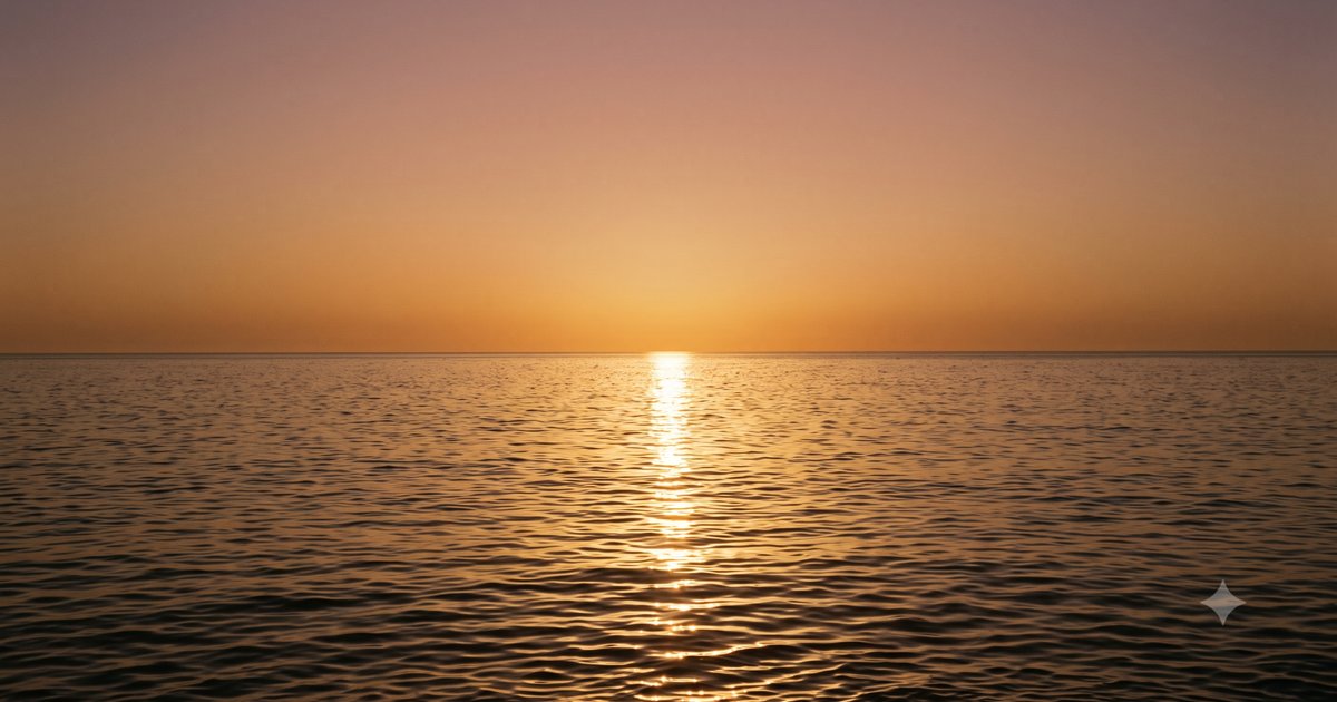 Klaviyo win-back and sunset flow