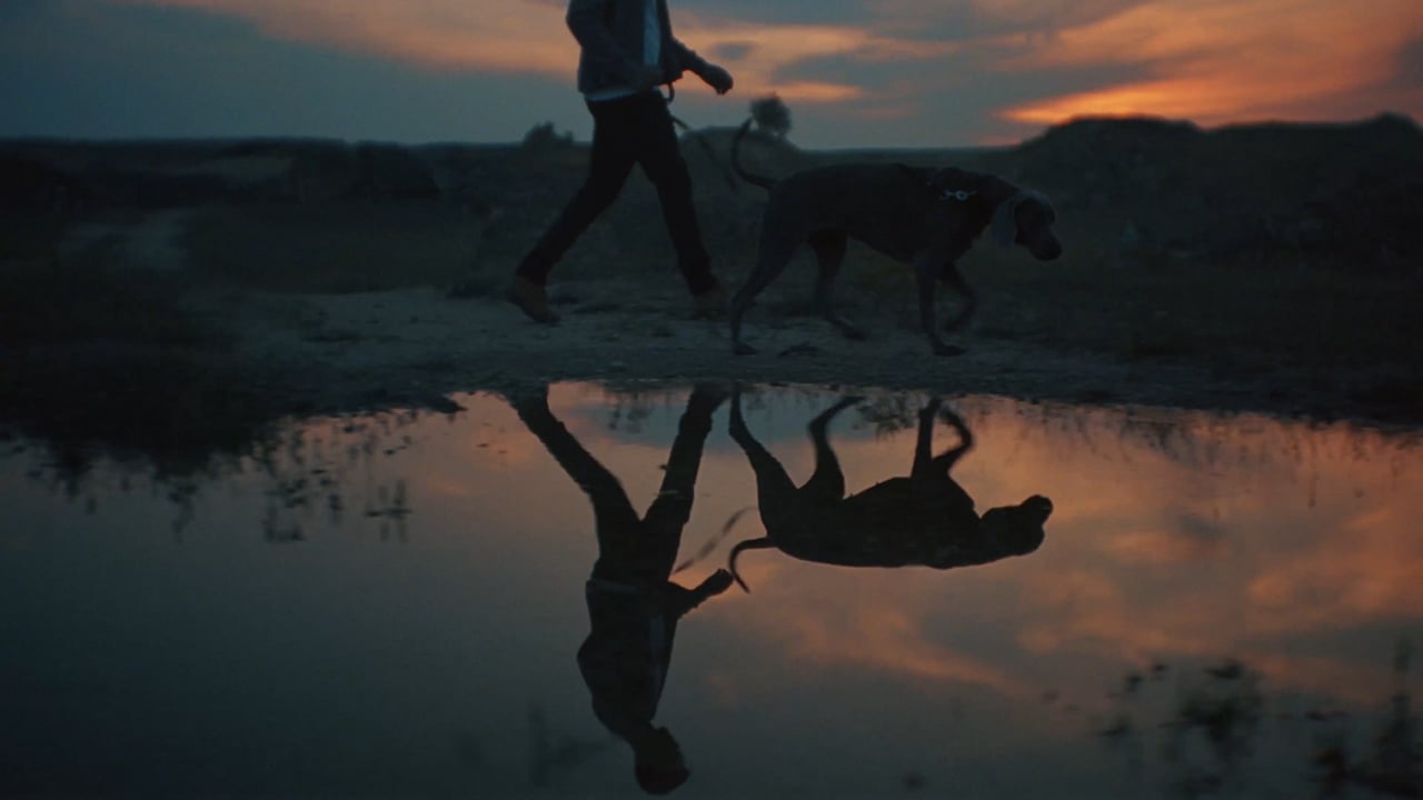 Commercial