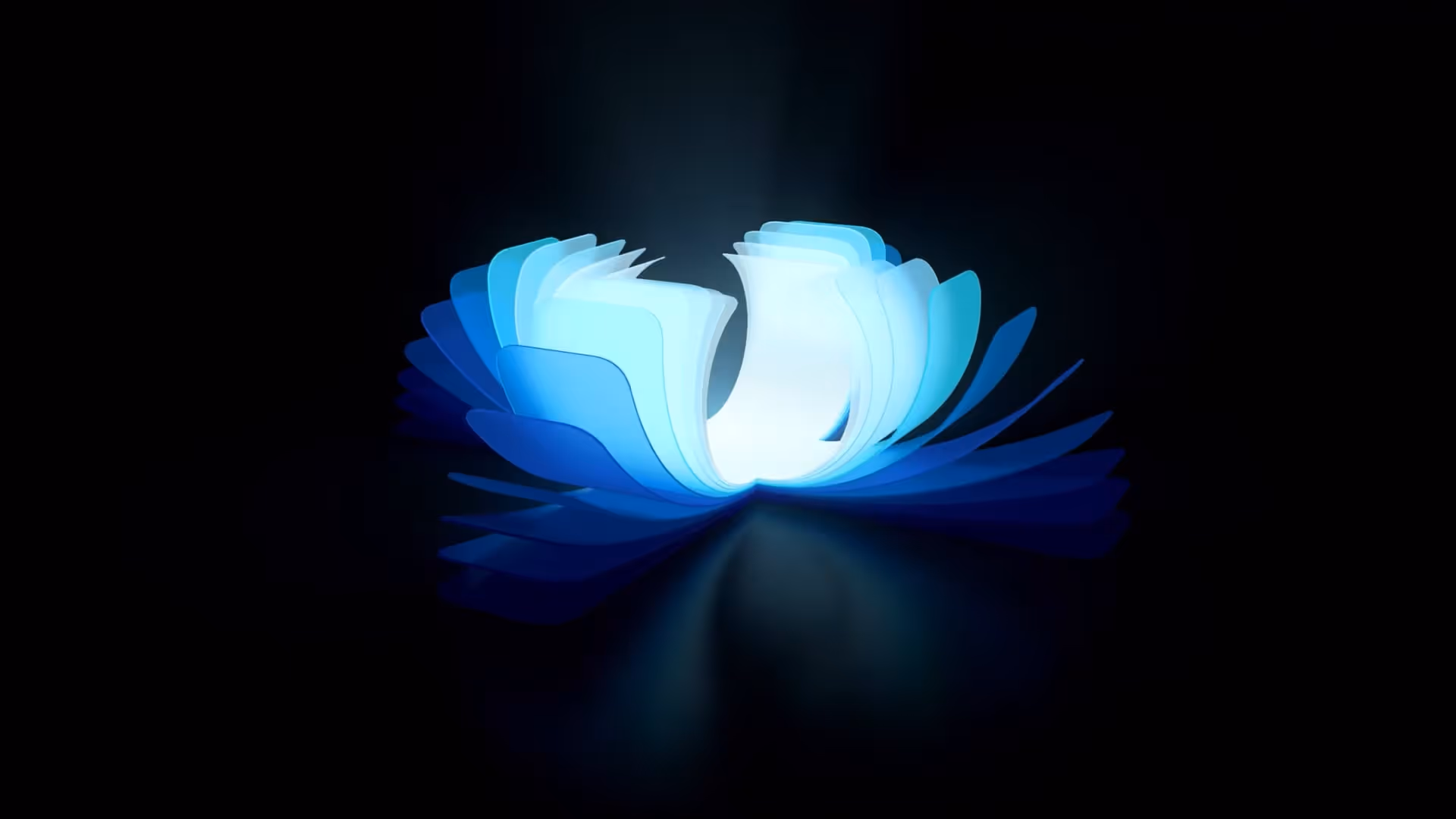 DSPtv+