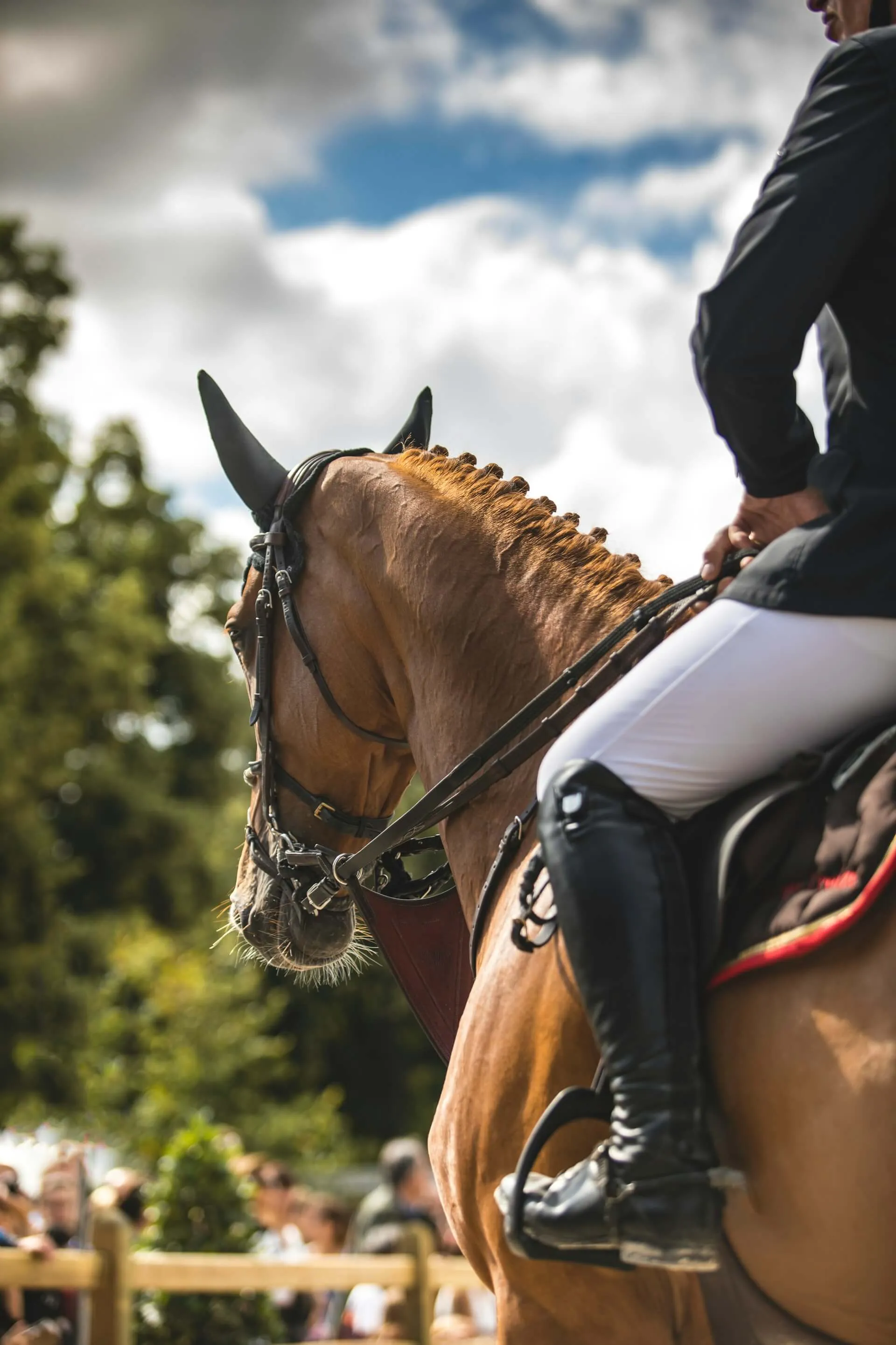a person riding a horse