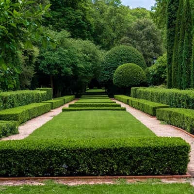 Instagram Image - Landscaping X Webflow Template