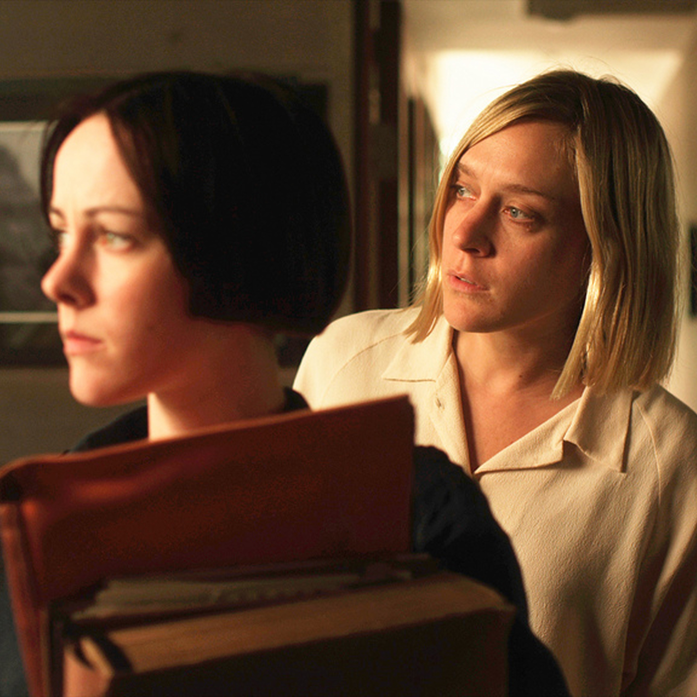 Chloe Sevigny