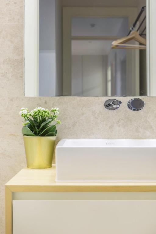 White rectangular sink on light wood vanity with green plant in gold pot and large mirror above.