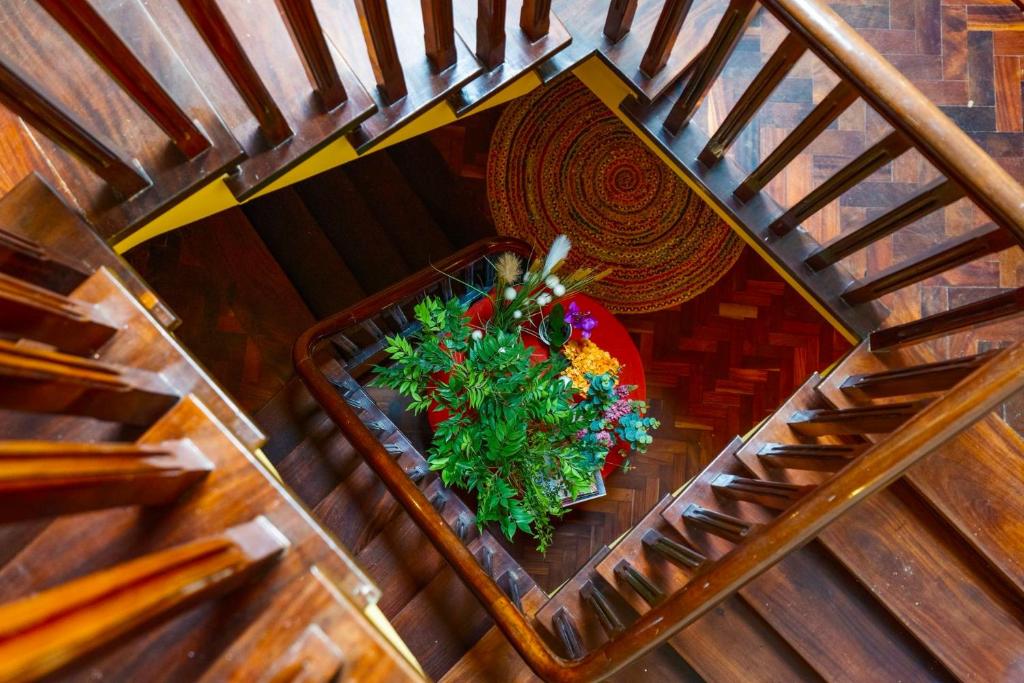 Top view of a wooden spiral staircase with potted plants on the floor inside the stairwell.