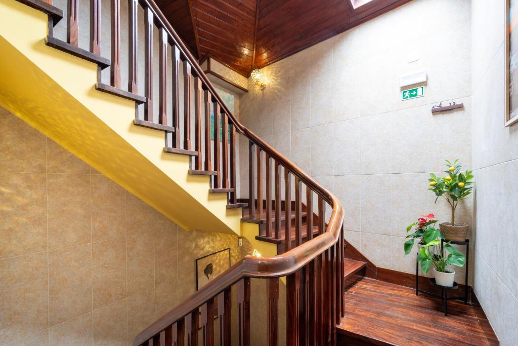 Curved wooden staircase with yellow underside, potted plants, and beige tiled walls in a well-lit hallway.