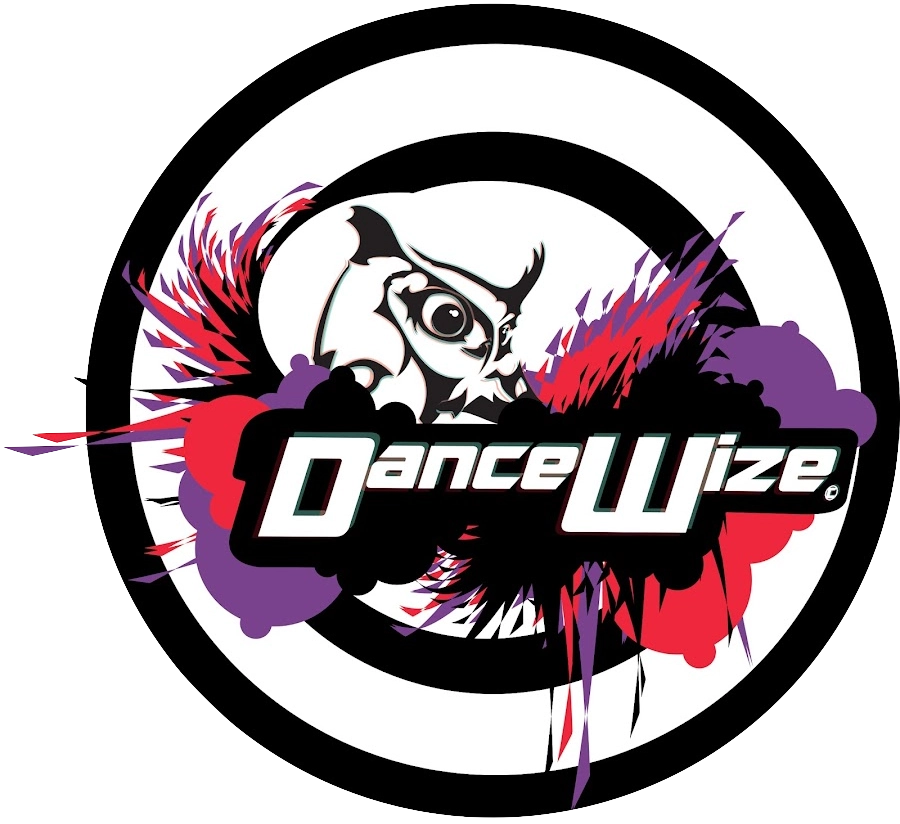 DanceWize logo featuring a stylized owl eye with red and purple brush strokes inside concentric black and white circles.