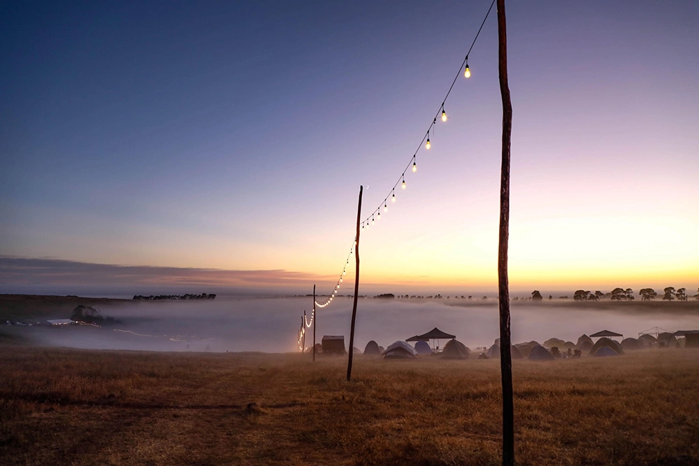 String of glowing lights on tall poles at dawn over a foggy campsite with tents in a wide open field.