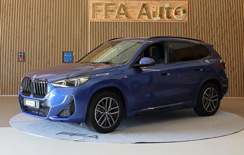 BMW X1 M Sport 25e xDrive paddles