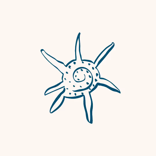 Hand-drawn illustration of a spiral seashell with seven pointed extensions.