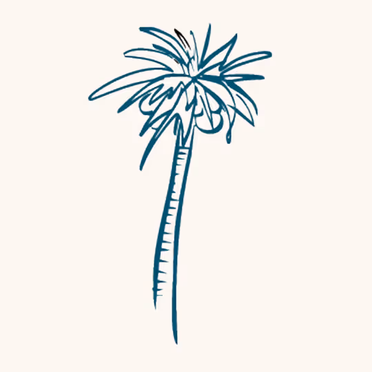 Simple hand-drawn sketch of a palm tree with long fronds extending from the top of a tall trunk.
