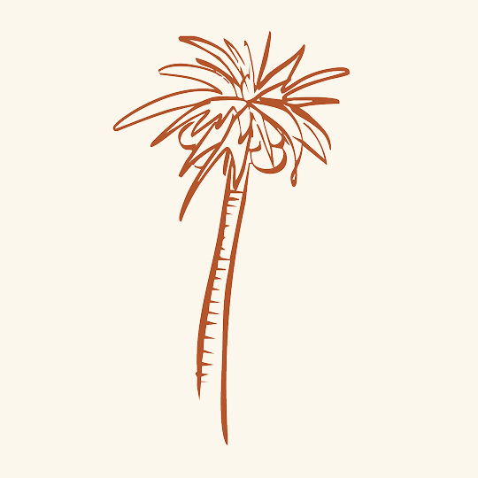 Simple hand-drawn sketch of a palm tree with long fronds extending from the top of a tall trunk.