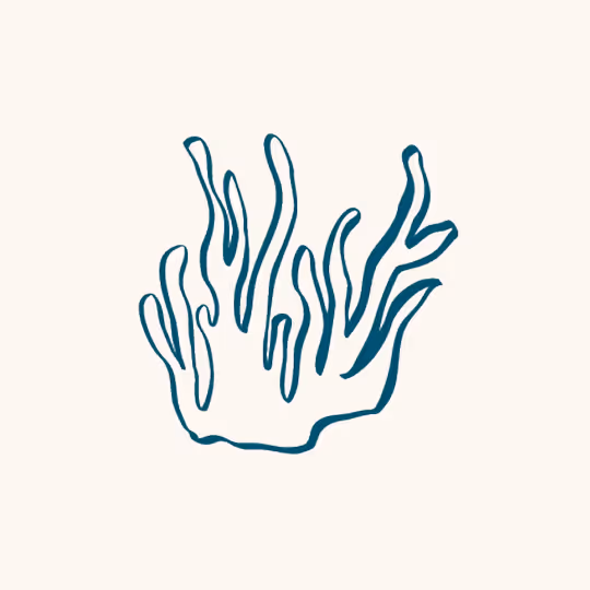 Simple blue line drawing of a coral reef branch on a white background.