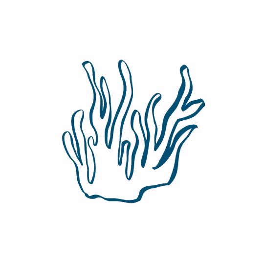 Simple blue line drawing of a coral reef branch on a white background.