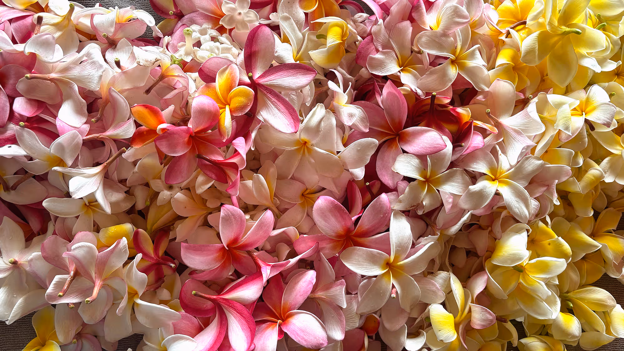 Traveler reaching out over the ocean, water streaming from their hand