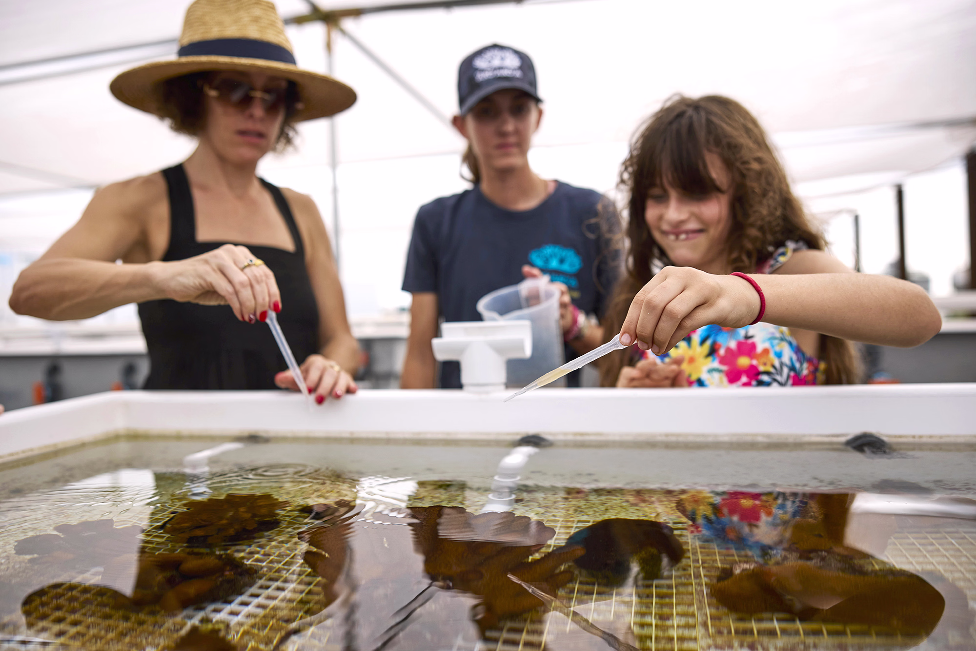 Person pointing at an old map with lush green forest in the background