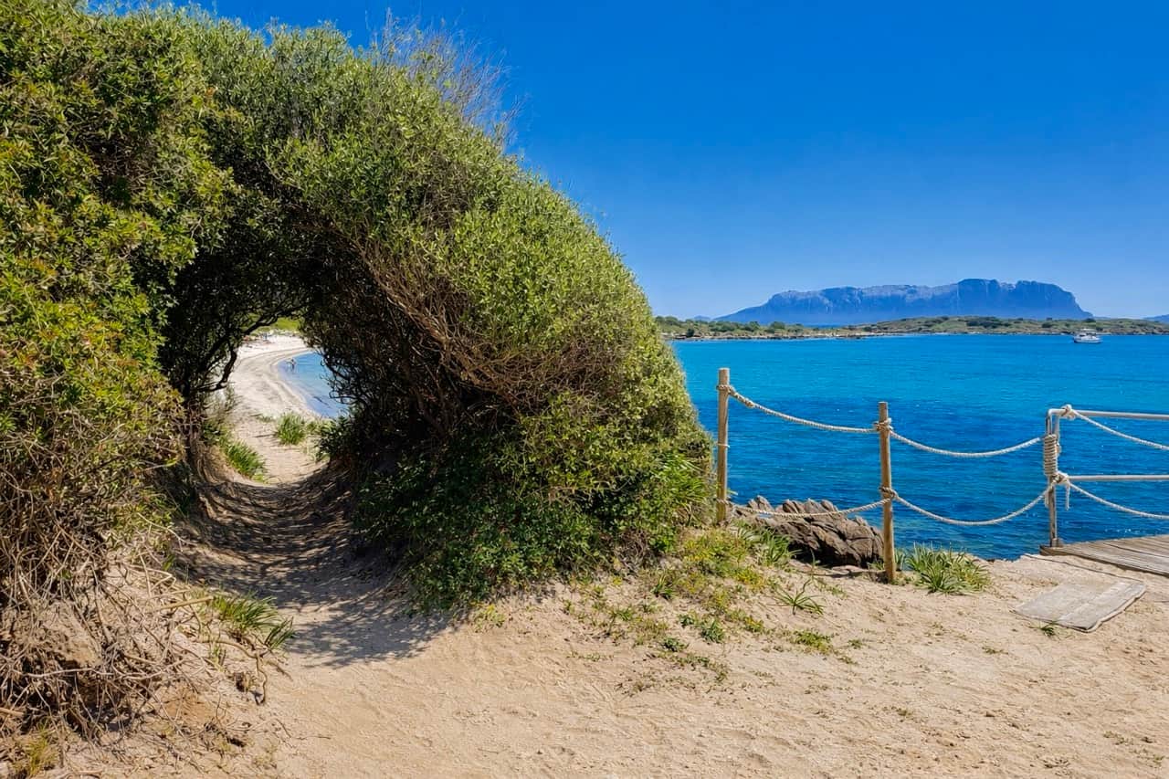 Pittulongu beach view towards Isola Tavolara near Olbia, Sardinia, by RENTAL12 — turquoise water and the iconic Tavolara island silhouette