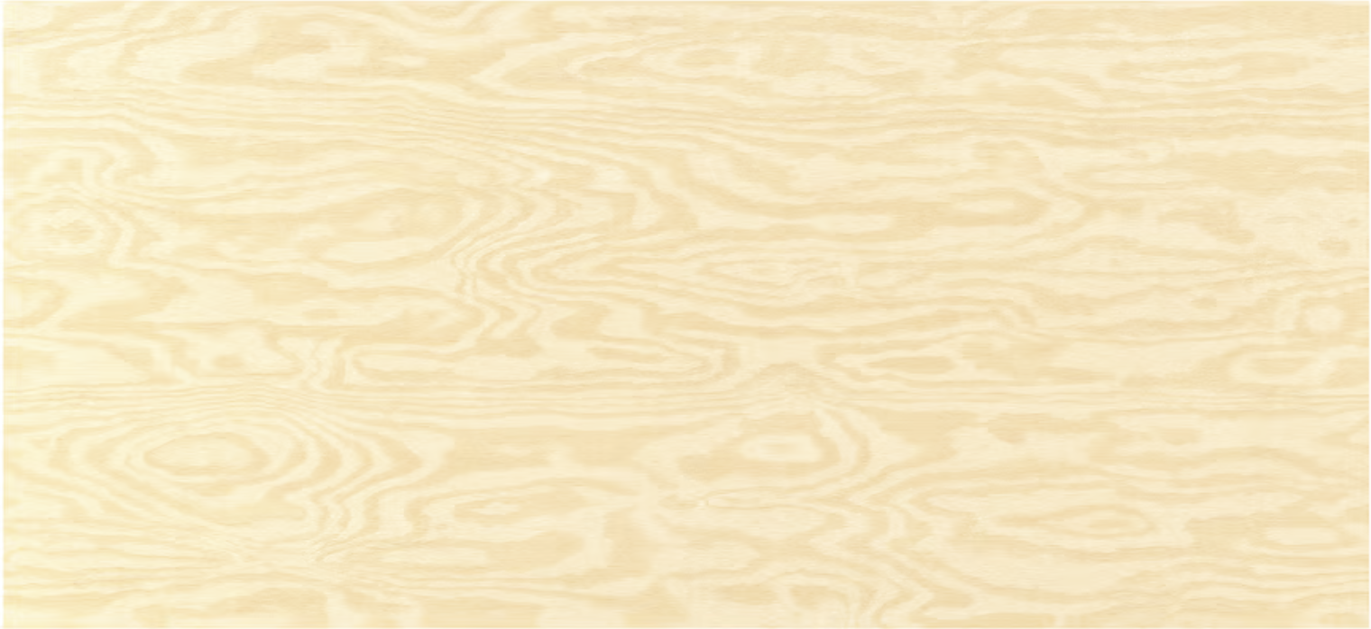 Social Media Banner Design