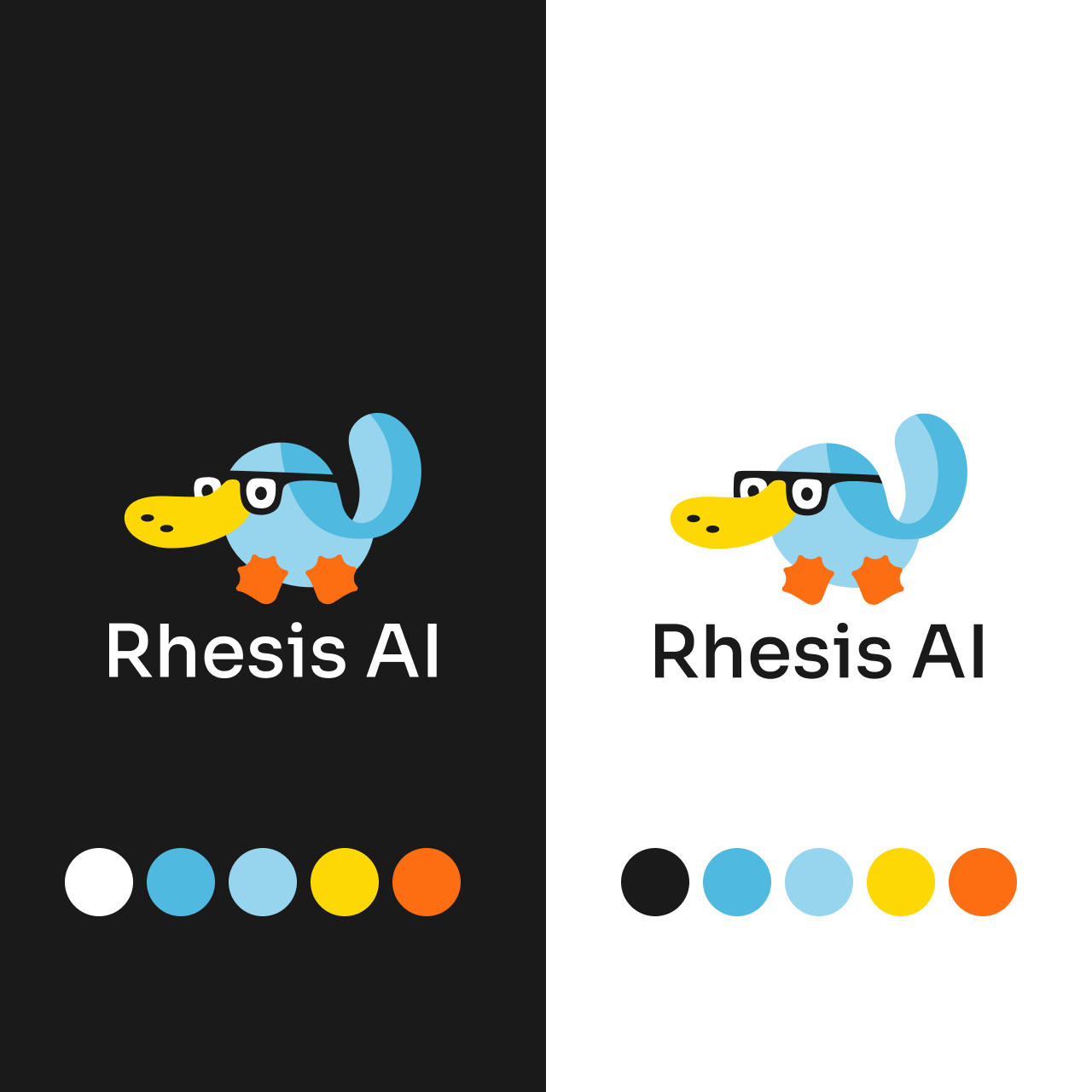Every decision was made to help Rhesis look and feel more like the developer-first company they were becoming.