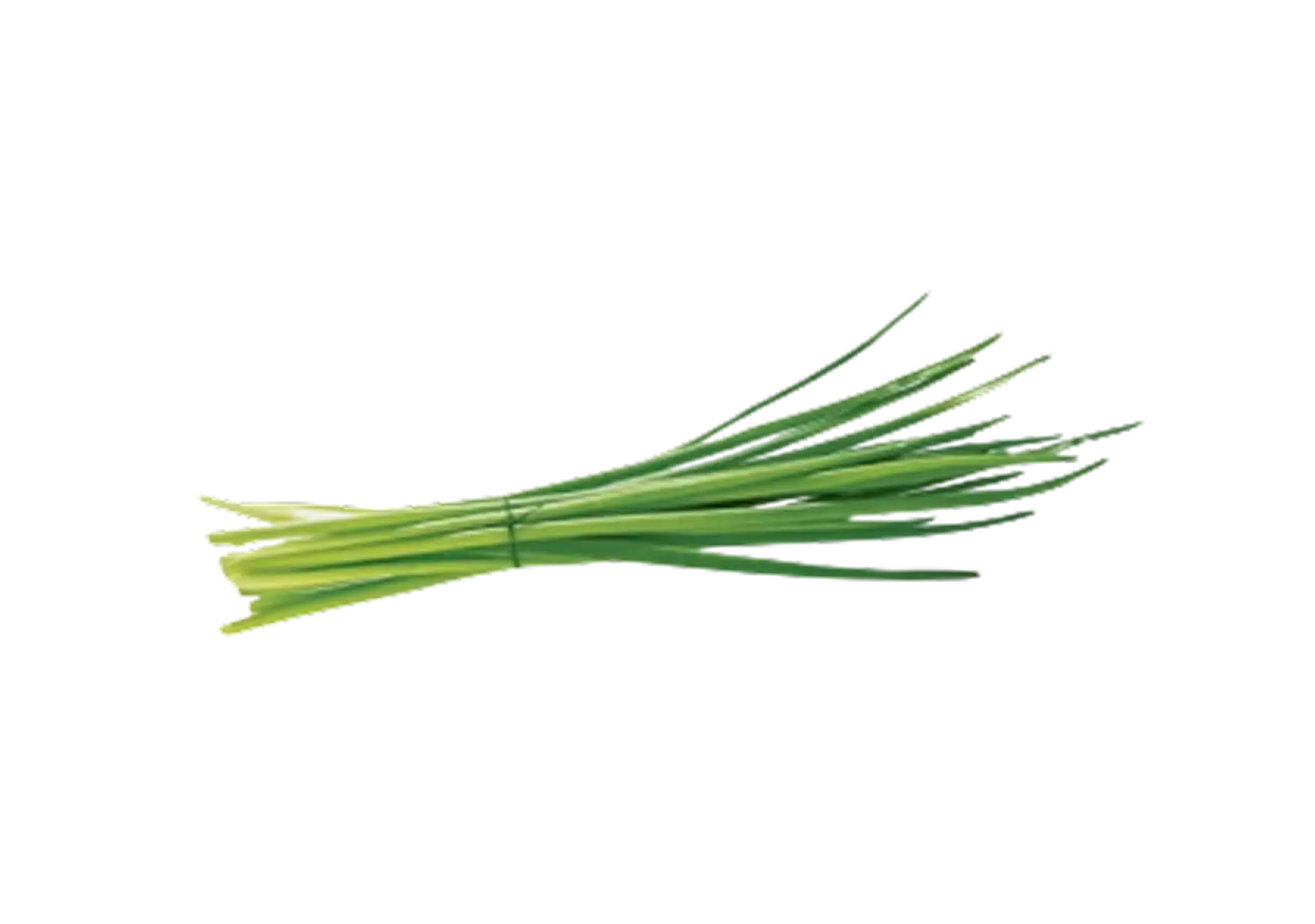 Ein Bündel frische, grüne Schnittlauchhalme vor einem schwarzen Hintergrund.