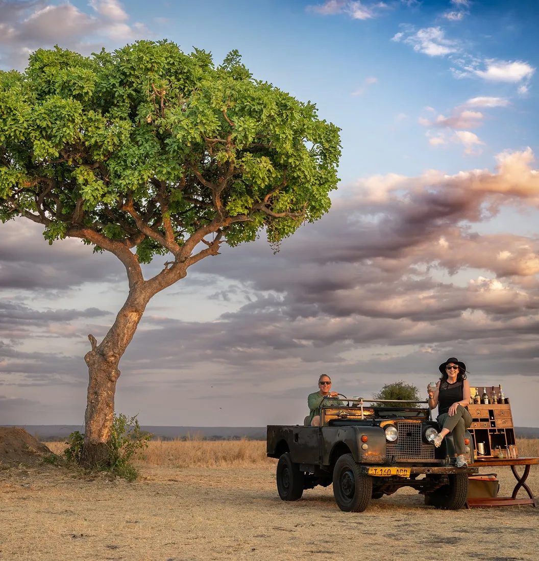 Two people enjoying drinks from a vintage safari vehicle under a leafy tree in an open savannah at sunset.