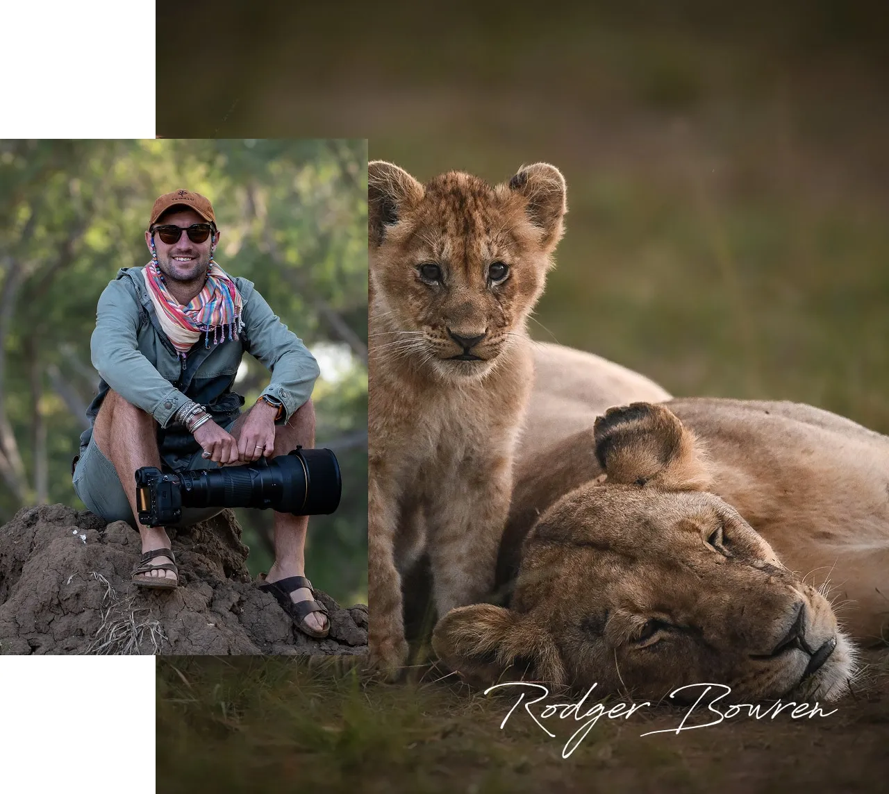 Photographer sitting on a rock holding a camera with a zoom lens, next to a resting lioness and a lion cub standing nearby.