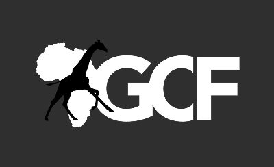 Silhouette of a giraffe walking in front of a white Africa map and the letters GCF on a dark background.