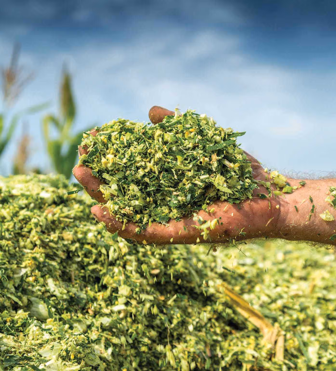 KRITIFIL®-EV-7039-O2-Barrier-Underlay