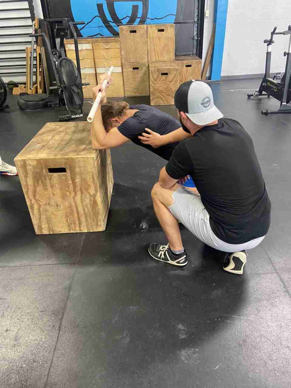 whole strength physical therapy