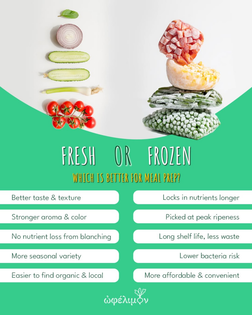 Skqutz logo with stylized tree and lettering.