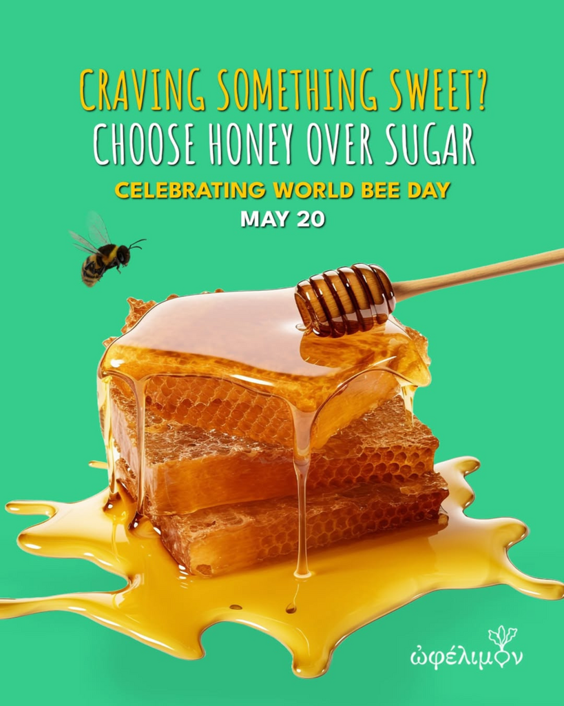 Skqutz logo with stylized tree and lettering.