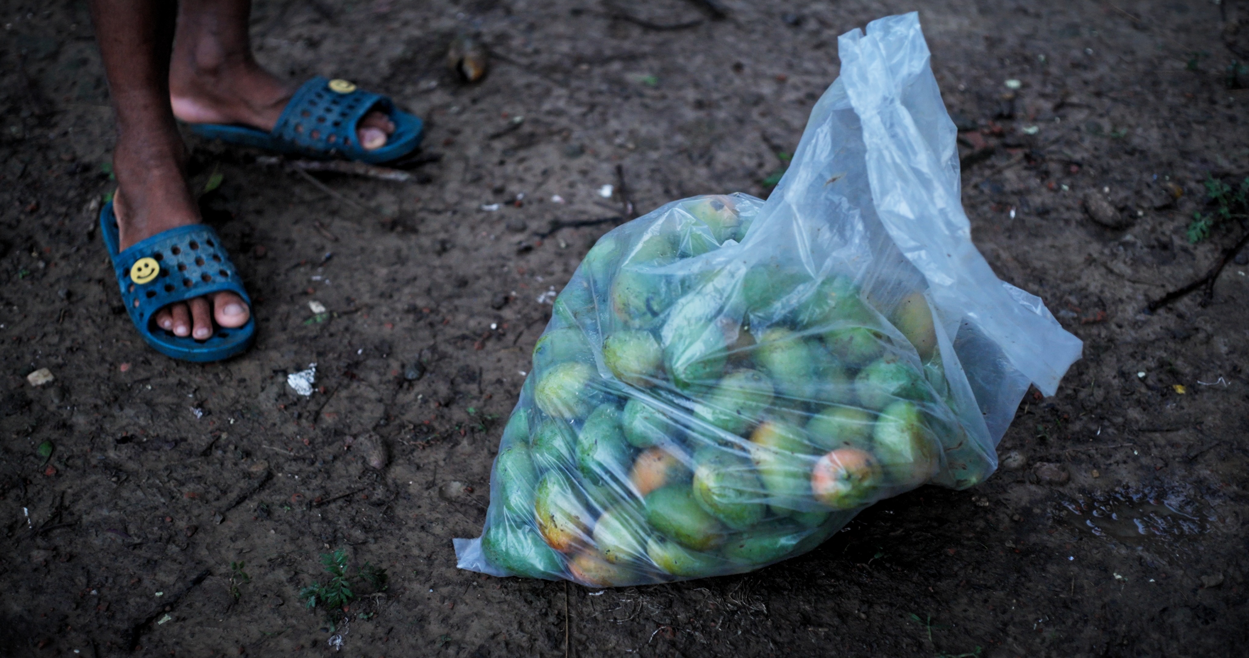 Transparent plastic bag filled with green and yellow mangoes resting on dirt ground next to a person's feet wearing blue sandals with smiley face buttons.